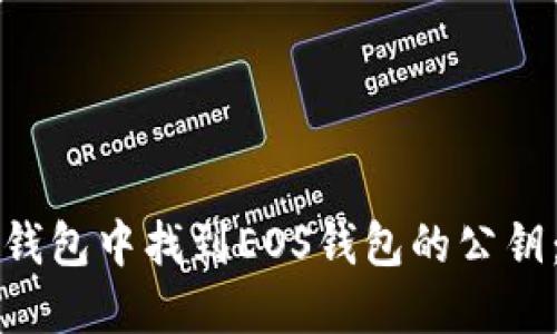 如何在TP钱包中找到EOS钱包的公钥：完整指南