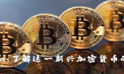 TP钱包Alpha：了解这一新兴加密货币的5个关键点
