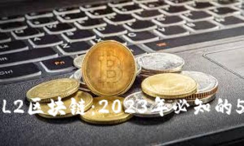 深入解析L2区块链：2023年必知的5大关键点